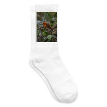 Ein leuchtend orangefarbener tropischer Vogel, der auf einem Baumkleie sitzt - Tennissocken - Weiß - Rechts