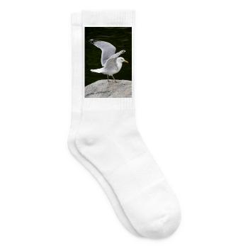 Heringsmöwe, die mit ausgebreiteten Flügeln auf einem Felsen steht - Tennissocken - Weiß - Rechts