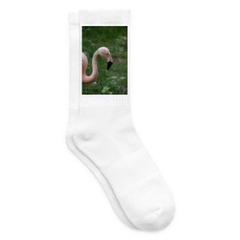 Nahaufnahme eines rosa Flamingos vor Grün - Tennissocken - Weiß - Rechts