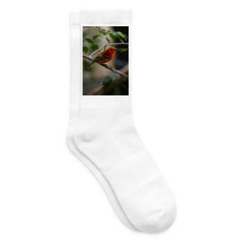 Ein leuchtend roter tropischer Vogel, der auf einem Ast saß - Tennissocken - Weiß - Rechts