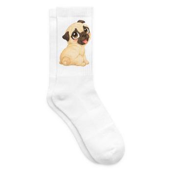 Mops - Süßes helles Mopsbaby mit kleinen Pfötchen - Tennissocken - Weiß - Rechts