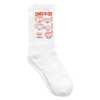 Katzenphysik – Zustände der Katze - Tennissocken - Weiß - Rechts
