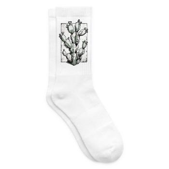 Feigenkaktus Kakteene - Tennissocken - Weiß - Rechts