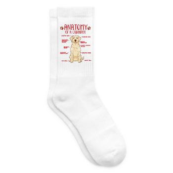 Yellow Labrador Anatomy Shirt - Tennissocken - Weiß - Rechts