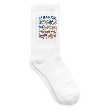 Haie Arten Lexikon Meeresbiologie Hai Illustration - Tennissocken - Weiß - Rechts