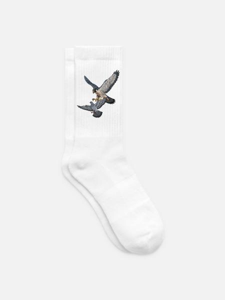 Wanderfalke fängt Taube - Tennissocken - Weiß