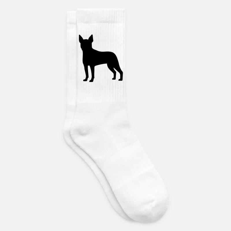 Boston Terrier - Chaussettes de tennis - blanc