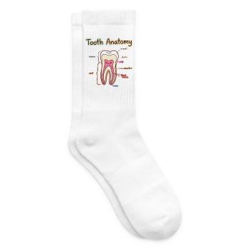 Tooth Anatomy Dental Assistant Dentist - Tennis socks - white - Right