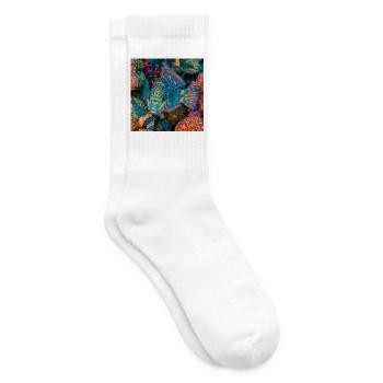 Meeresregenbogenpapageienfisch - Tennissocken - Weiß - Rechts