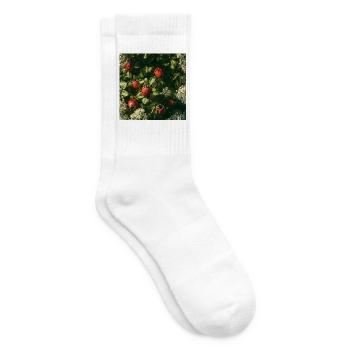 Marienkäfer auf Blütenblättern - Tennissocken - Weiß - Rechts
