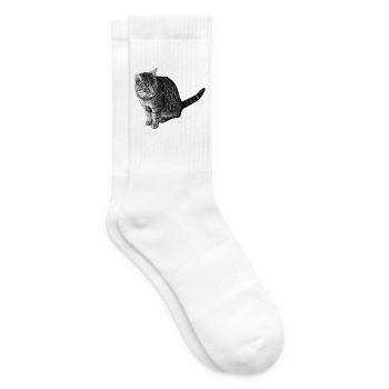 Detailierte Katzenlinienzeichnung in Schwarz - Tennissocken - Weiß - Rechts