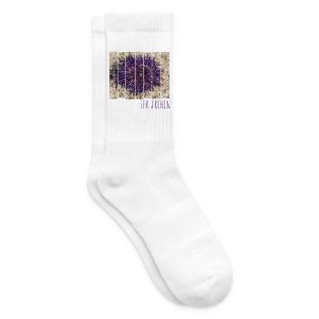 Seeigel im Meer am Strand Vintage Urlaub Souvenir - Tennissocken - Weiß - Rechts