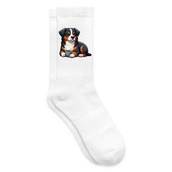 Appenzeller Sennenhund Sennenhunde Sennenhundmama - Tennissocken - Weiß - Rechts