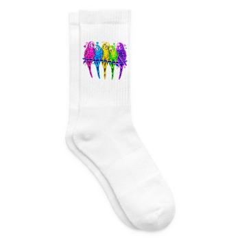 Wellensittiche in Neonfarben – Vogelfreunde - Tennissocken - Weiß - Rechts