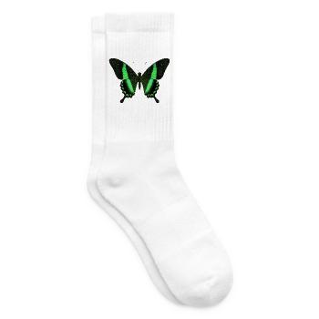 Smaragdschwalbenschwanz Papilio palinurus Schmetterling - Tennissocken - Weiß - Rechts