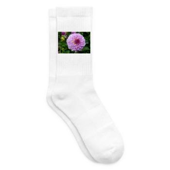 Dahlia Pink Pink Blossom ,Flower - Tennis socks - white - Right