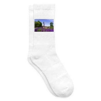 Blooming Lavender in Summer - Tennissocken - Weiß - Rechts