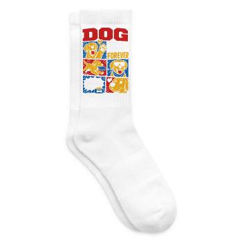 Dog Friend Forever Golden Retriever - Tennis socks - white - Right