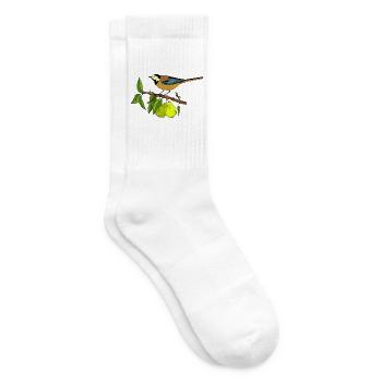 Bunter Vogel - Tennissocken - Weiß - Rechts
