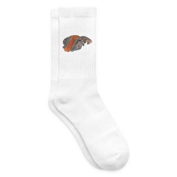 Peruanisches Meerschweinchen - Tennissocken - Weiß - Rechts