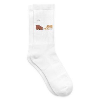 Bär & Papier - Tennissocken - Weiß - Rechts