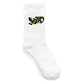 Salamander - Tennissocken - Weiß - Rechts