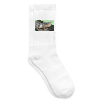 Seal pup on Texel - Tennis socks - white - Right