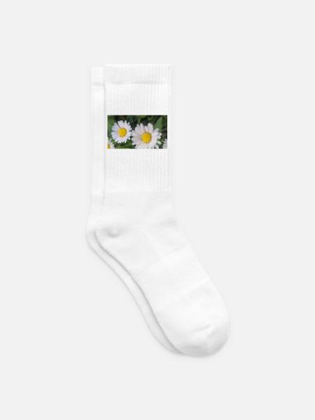 Gänseblümchen Frühlingsflair - Tennissocken - Weiß