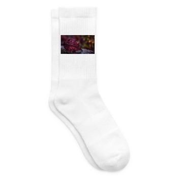 Nachtrotes Taublatt - Tennissocken - Weiß - Rechts