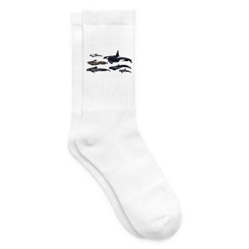 Blackfish - Orcas - Calderones - Pilot whales - Tennis socks - white - Right