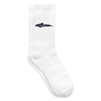 baleine pilote - baleine pilote - globicéphale noir - Chaussettes de tennis - blanc - Droite