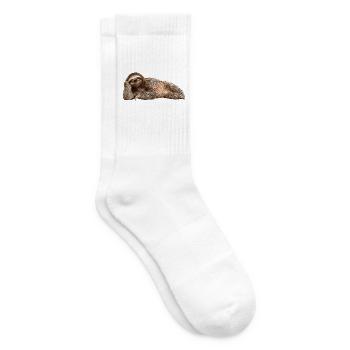 Faultier - Tennissocken - Weiß - Rechts