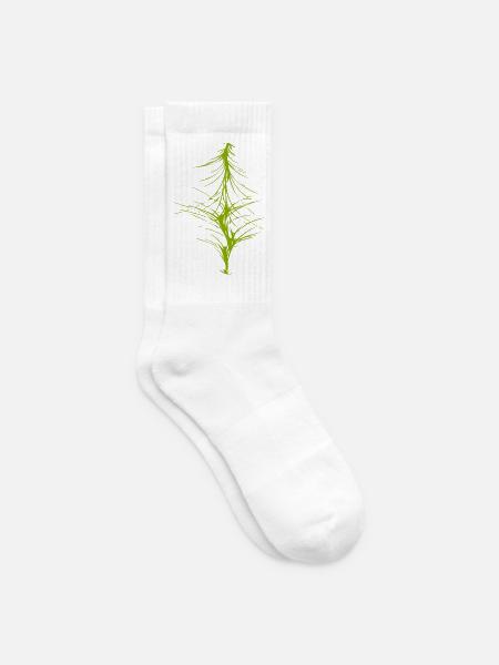 Abstraktes Bild / grün / Muster / Linie - Tennissocken - Weiß