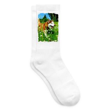 Husky in a flower field - Tennis socks - white - Right