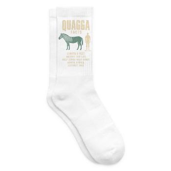 Quagga Fakten Eiszeit Größenvergleich Tafel - Tennissocken - Weiß - Rechts