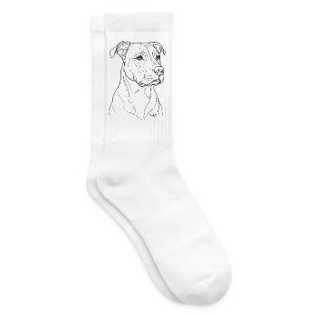 American Staffordshire Terrier BK Porträt - Tennissocken - Weiß - Rechts