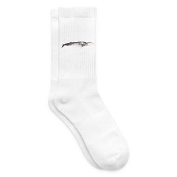 Rorqual commun Balaenoptera physalus - Chaussettes de tennis - blanc - Droite