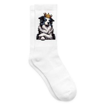 Border Collie Propriétaire Collie Amant de Collie - Chaussettes de tennis - blanc - Droite