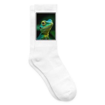 Lizards Lizard - Tennis socks - white - Right