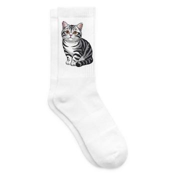 Tabby-Katzenporträt - Tennissocken - Weiß - Rechts