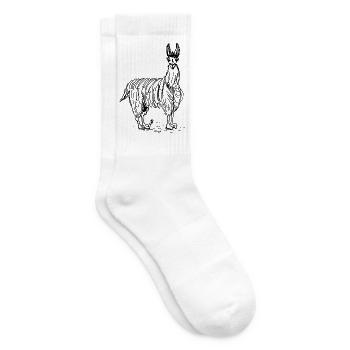 lama - Tennis socks - white - Right