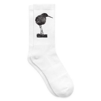 Chevalier gambette - Silhouette d’oiseau monochrome - Chaussettes de tennis - blanc - Droite