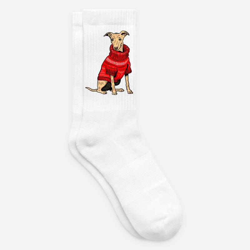 Hund im roten Strickpullover - Tennissocken - Weiß