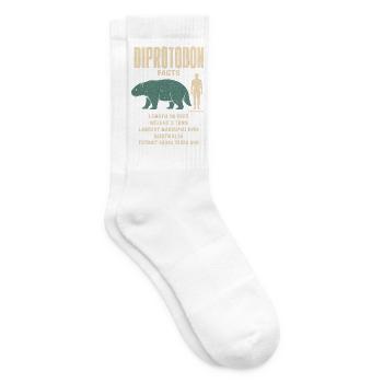 Diprotodon Fakten Eiszeit Größenvergleich Tafel - Tennissocken - Weiß - Rechts