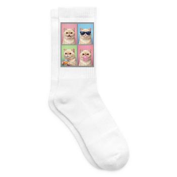 Katzen Exotische Kurzhaar Katze - Tennissocken - Weiß - Rechts