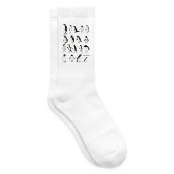 Pinguine - Tennissocken - Weiß - Rechts