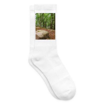 Findling im Buchenwald - Tennissocken - Weiß - Rechts