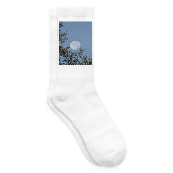 Mondbeschienene Äste Nachthimmel - Tennissocken - Weiß - Rechts