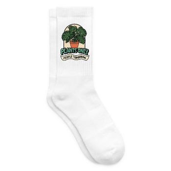 Monstera TODAY! - Tennissocken - Weiß - Rechts