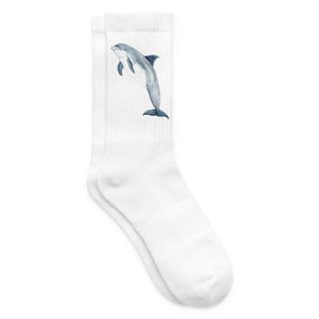 Bottlenose dolphin - Bottlenose dolphin - Grand dauphin - Tennis socks - white - Right